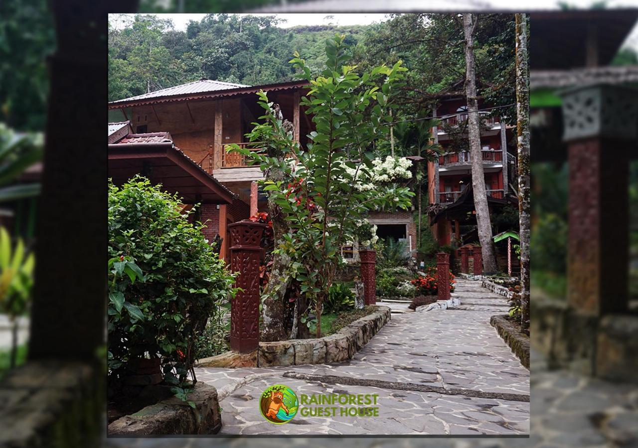 Rain Forest Guest House And Jungle Trekking Bukit Lawang Ngoại thất bức ảnh