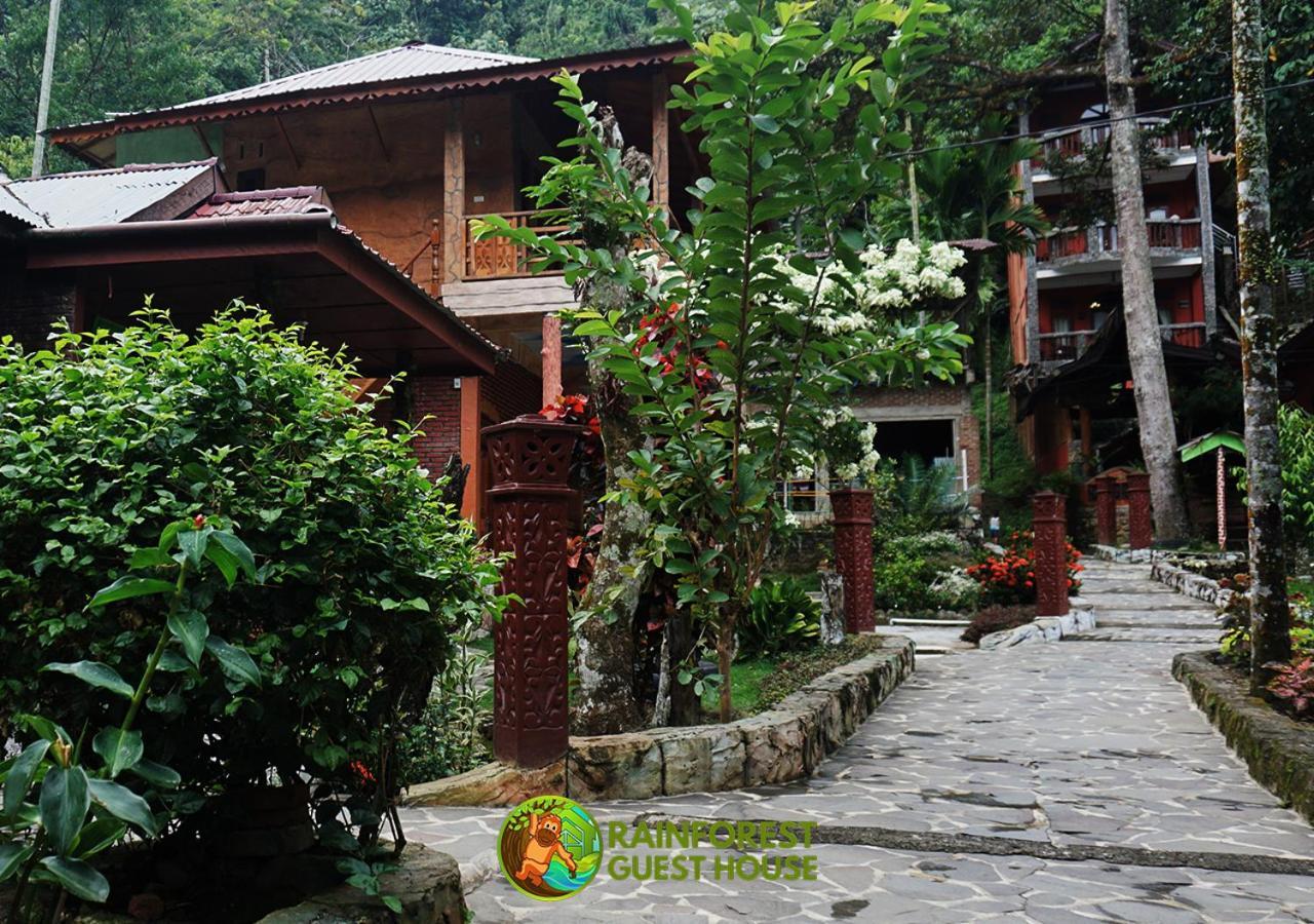 Rain Forest Guest House And Jungle Trekking Bukit Lawang Ngoại thất bức ảnh