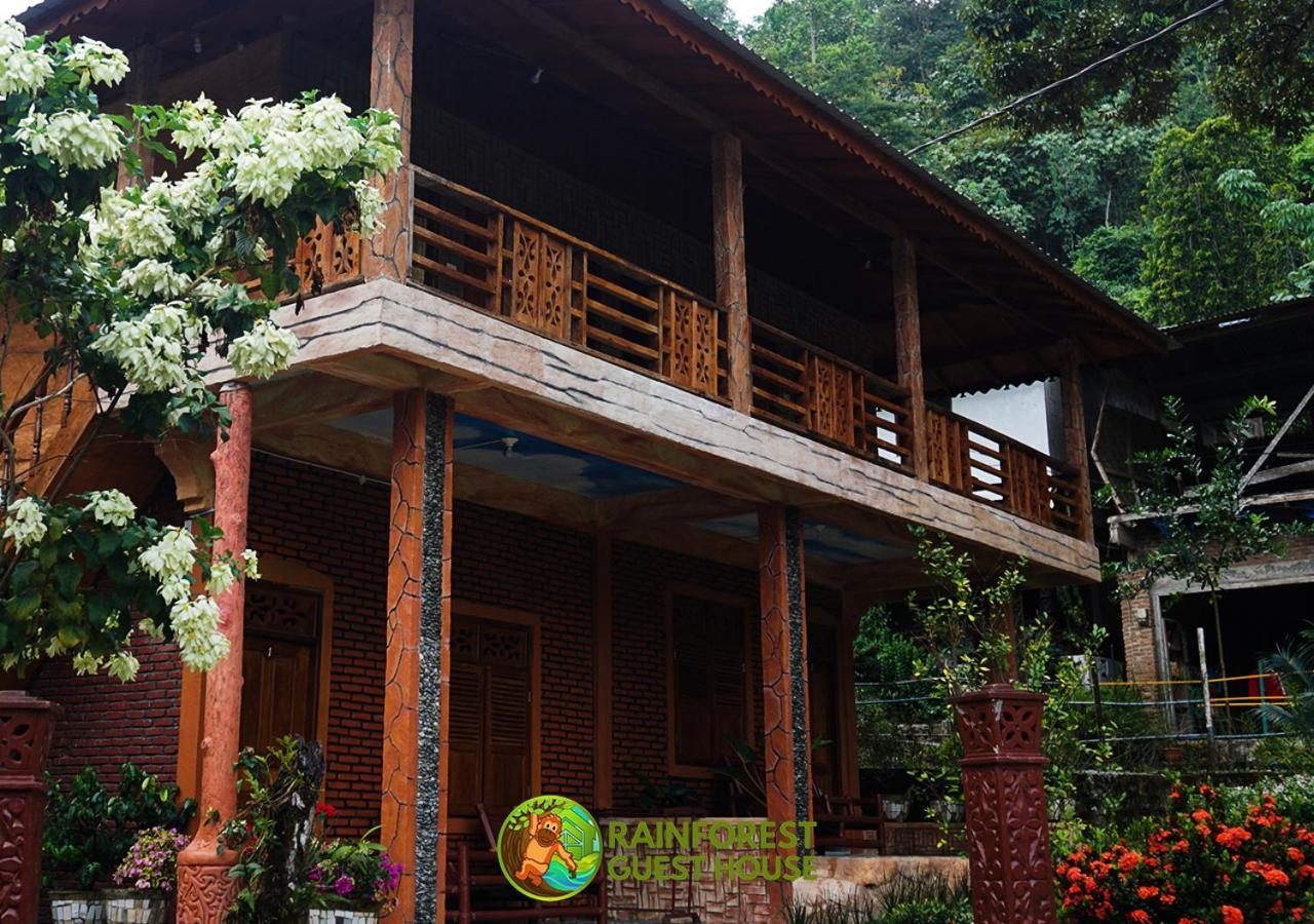 Rain Forest Guest House And Jungle Trekking Bukit Lawang Ngoại thất bức ảnh