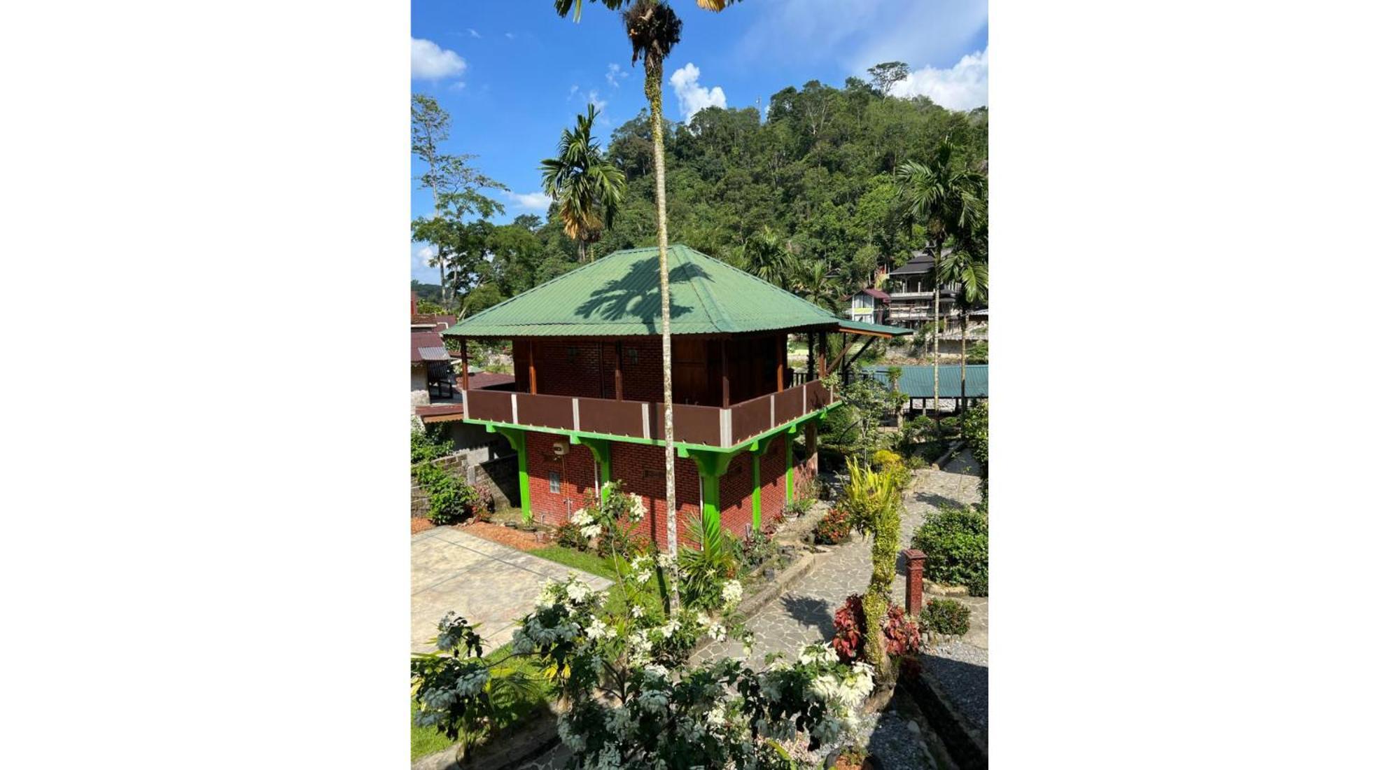 Rain Forest Guest House And Jungle Trekking Bukit Lawang Ngoại thất bức ảnh