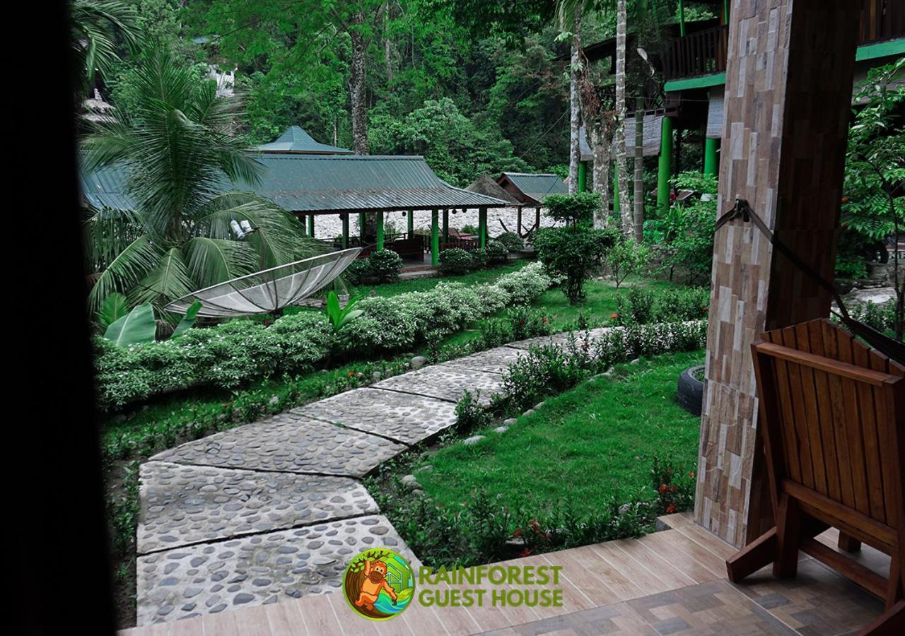 Rain Forest Guest House And Jungle Trekking Bukit Lawang Phòng bức ảnh