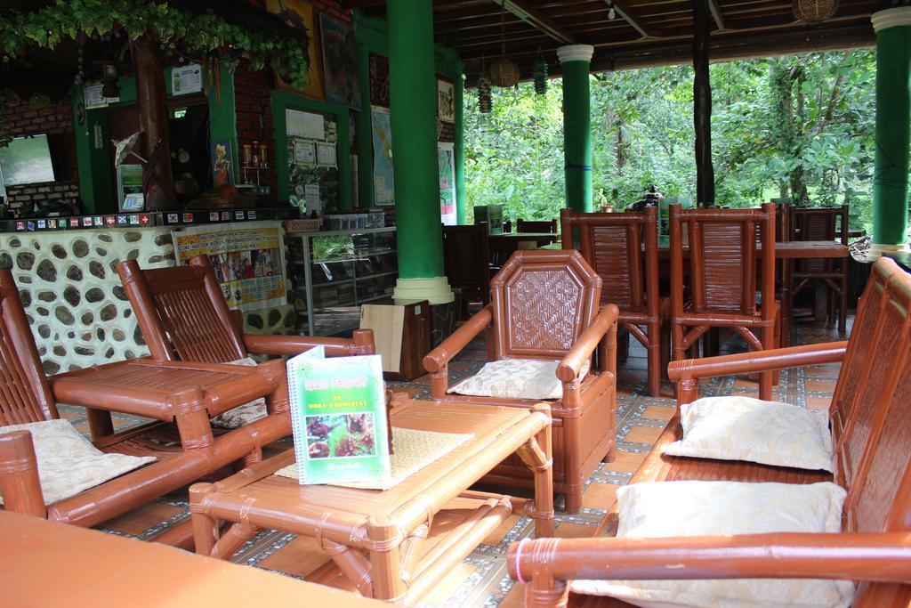 Rain Forest Guest House And Jungle Trekking Bukit Lawang Ngoại thất bức ảnh