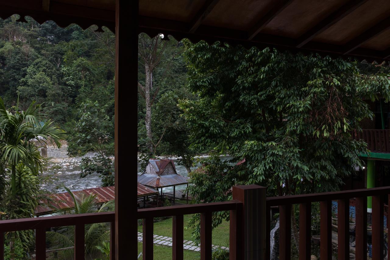 Rain Forest Guest House And Jungle Trekking Bukit Lawang Ngoại thất bức ảnh