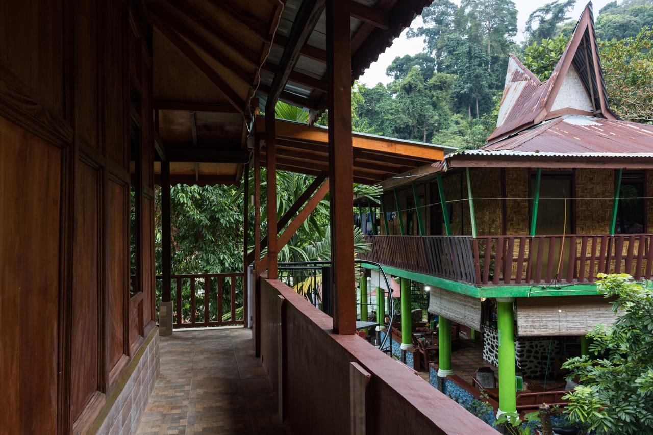 Rain Forest Guest House And Jungle Trekking Bukit Lawang Ngoại thất bức ảnh