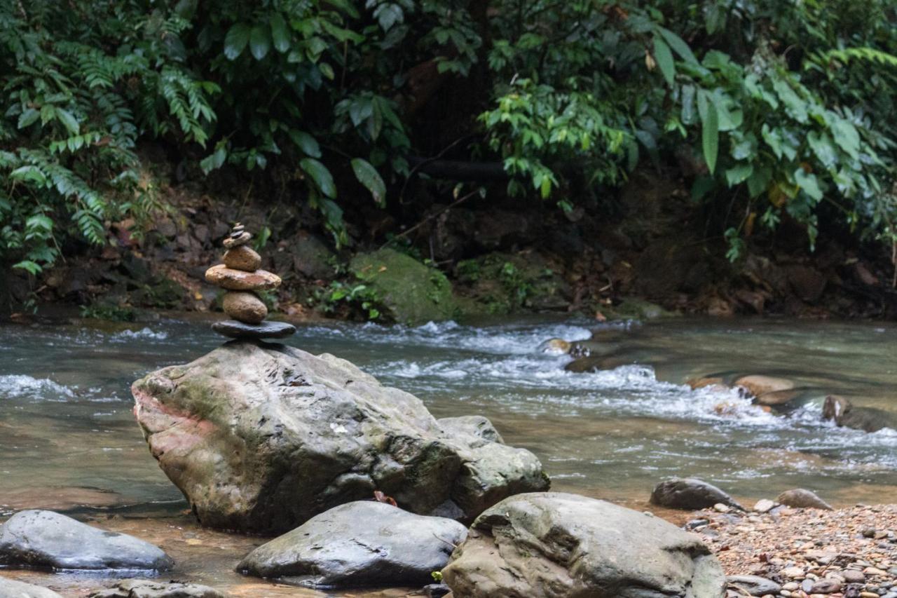 Rain Forest Guest House And Jungle Trekking Bukit Lawang Ngoại thất bức ảnh