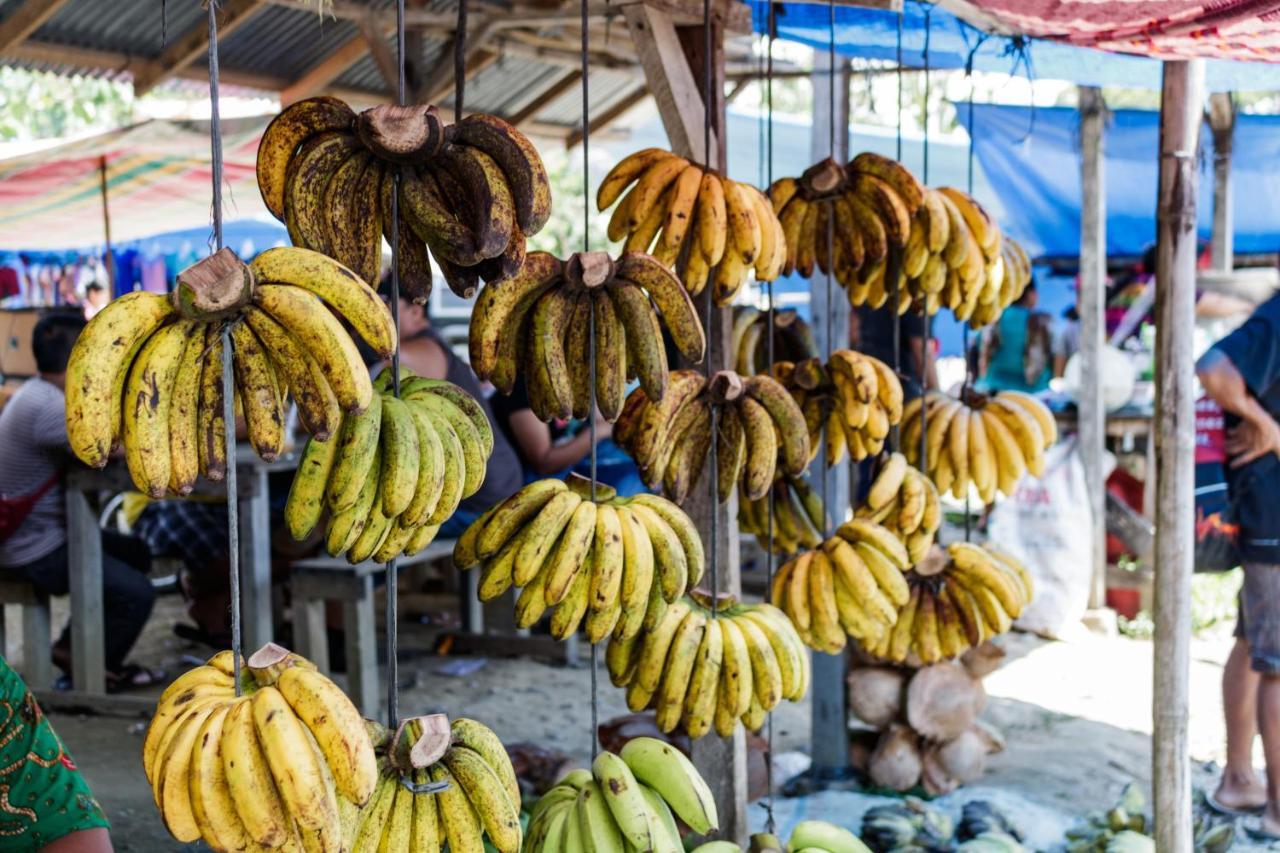 Rain Forest Guest House And Jungle Trekking Bukit Lawang Ngoại thất bức ảnh