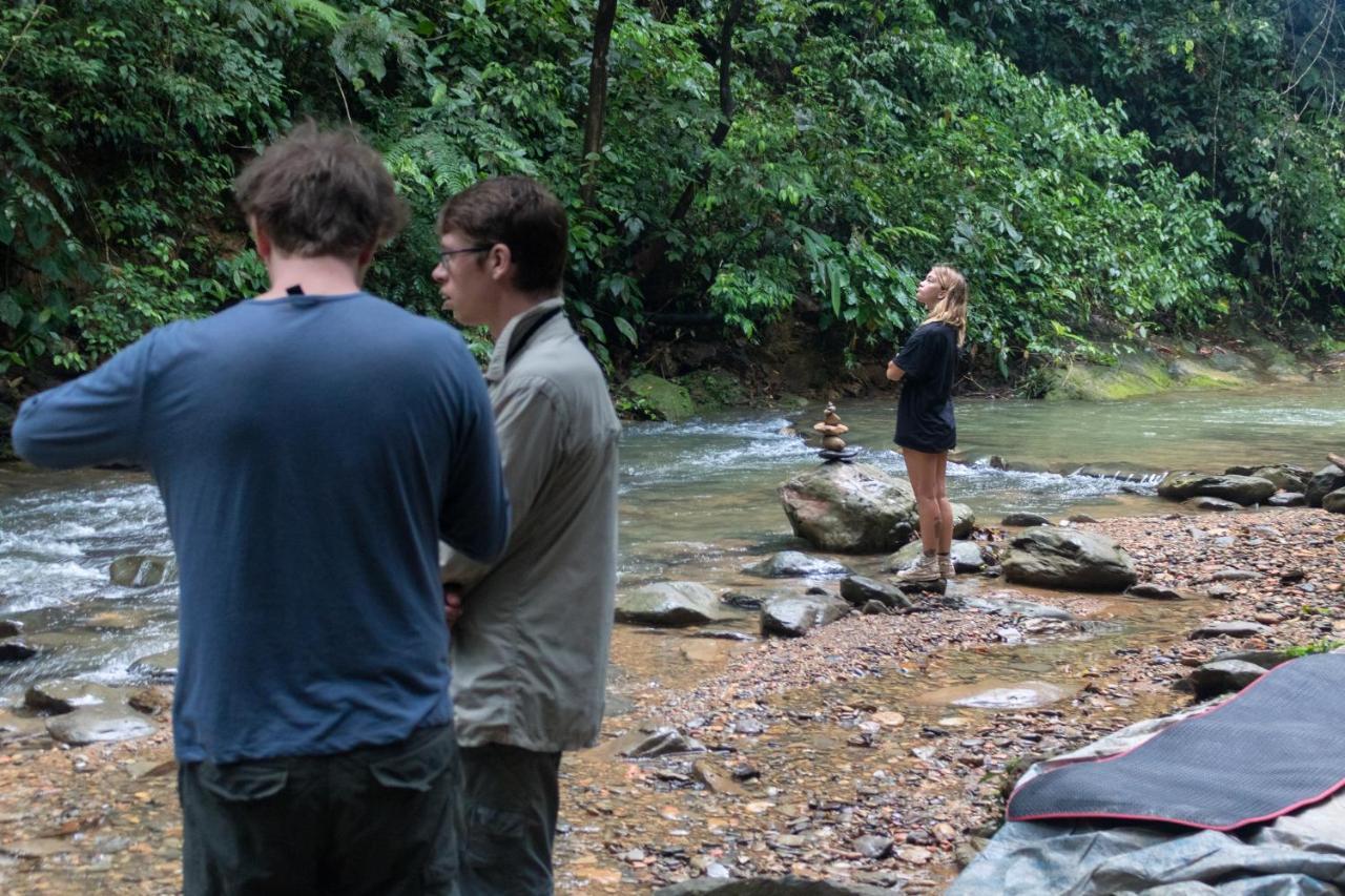 Rain Forest Guest House And Jungle Trekking Bukit Lawang Ngoại thất bức ảnh